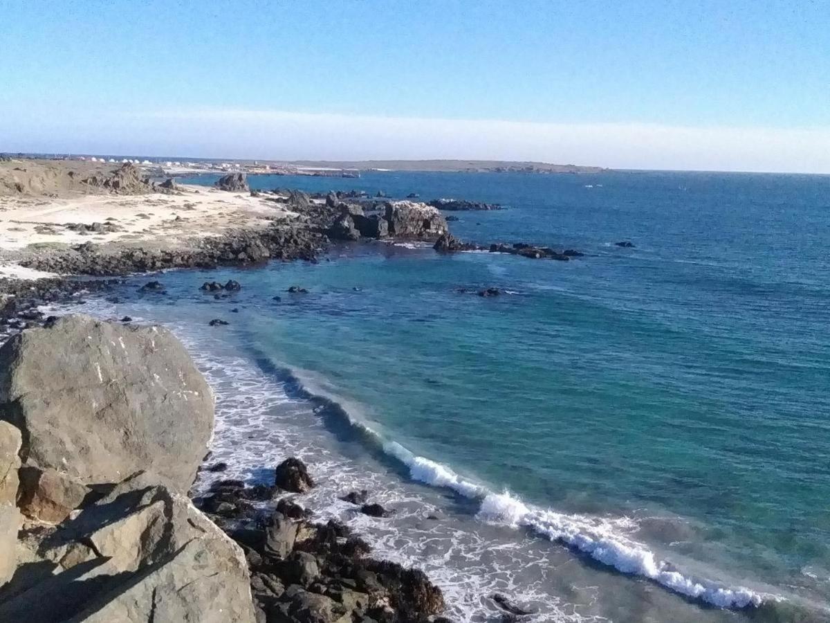 Refugio Del Archipielago Punta de Choros Eksteriør billede